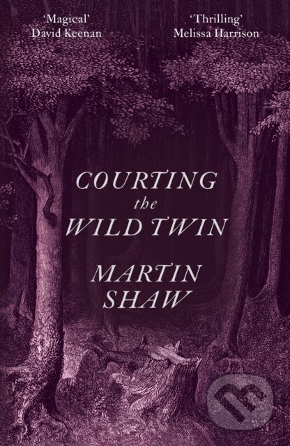 Levně Courting the Wild Twin - Martin Shaw - kniha z kategorie Filozofia