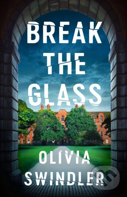 Levně Break the Glass - Olivia Swindler - kniha z kategorie Spoločenská beletria