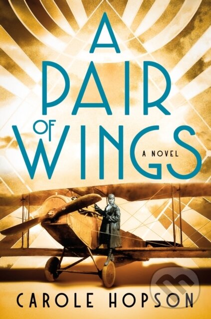 Kniha Pair of Wings