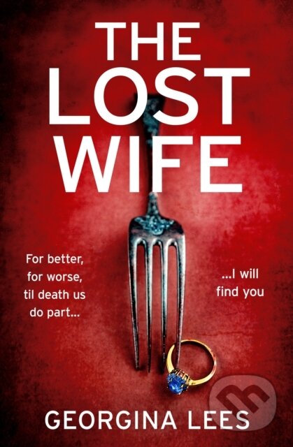 Kniha Lost Wife