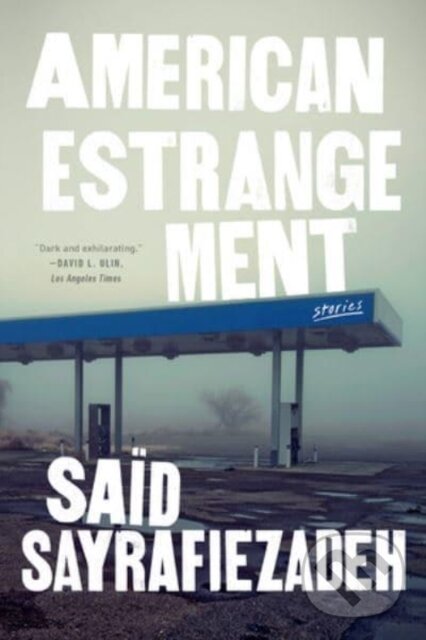 Kniha American Estrangement