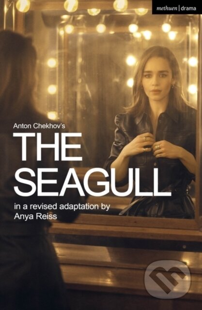 Kniha The Seagull