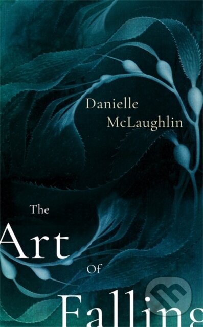 Levně The Art of Falling - Danielle Mclaughlin - kniha z kategorie Beletria