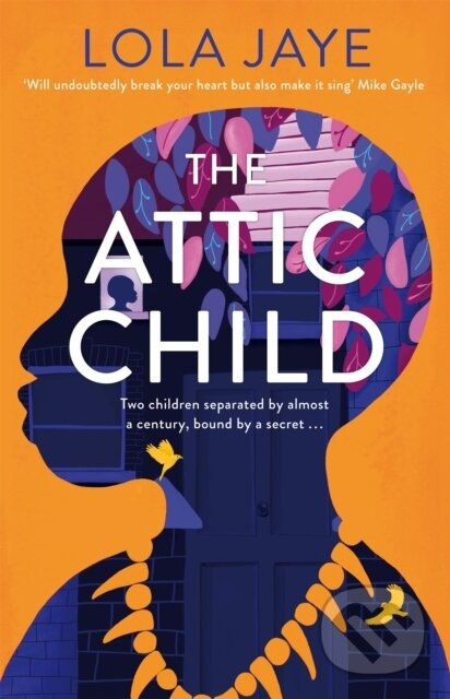Levně The Attic Child (A powerful and heartfelt historical novel, shortlisted for the Diverse Book Awards)