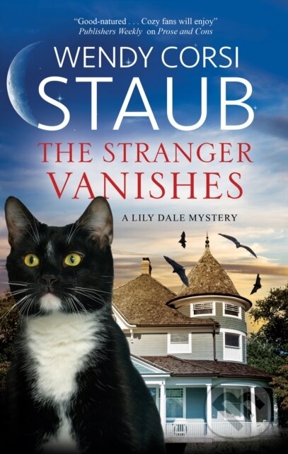 Kniha Stranger Vanishes