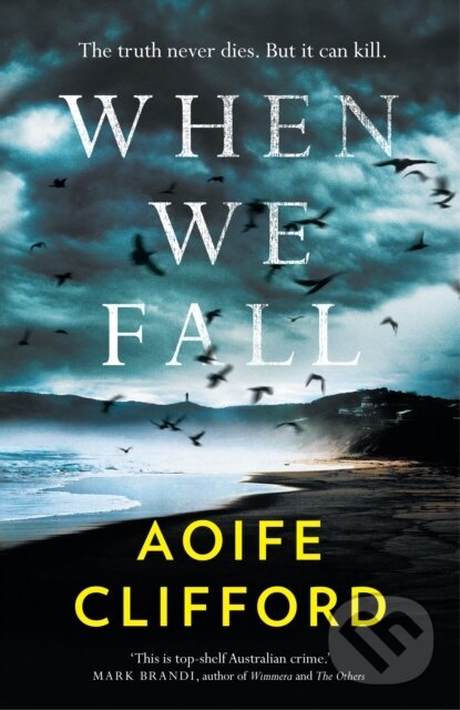 Levně When We Fall - Aoife Clifford - kniha z kategorie Detektívky, trilery a horory