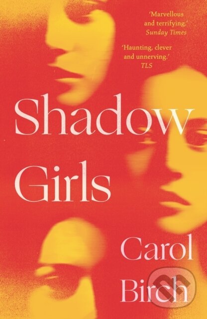Kniha Shadow Girls