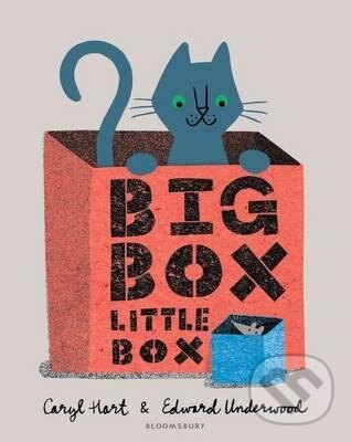 Levně Big Box Little Box - Caryl Hart, Edward Underwood - kniha z kategorie Rozprávky