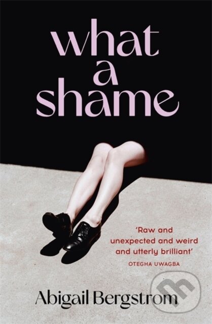 Levně What a Shame ('Intelligent, moving and darkly comic' The Sunday Times) - kniha z kategorie Spoločenská beletria