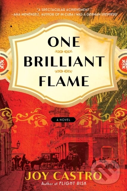 Levně One Brilliant Flame (A Novel) - Joy Castro - kniha z kategorie Beletria