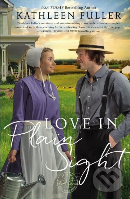 Kniha Love in Plain Sight