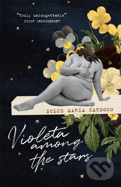 Kniha Violeta among the Stars