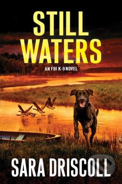 Levně Still Waters (A Riveting Novel of Suspense) - Sara Driscoll - kniha z kategorie Thrillery