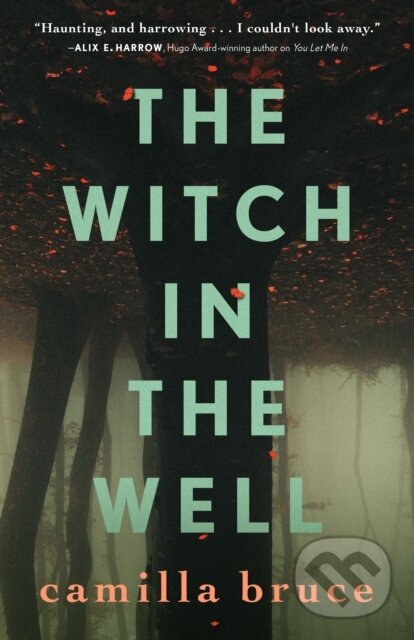 Levně The Witch In The Well - Camilla Bruce - kniha z kategorie Fantasy