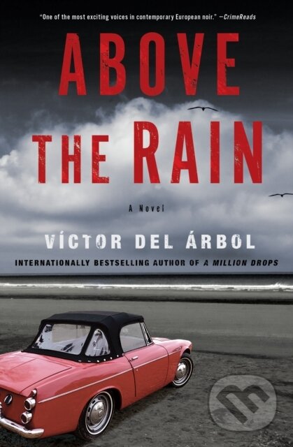 Levně Above the Rain (A Novel) - Lisa Dillman, Victor del Arbol - kniha z kategorie Thrillery