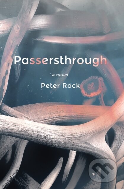 Levně Passersthrough - Peter, MD, FCCP, MBA Rock - kniha z kategorie Beletria
