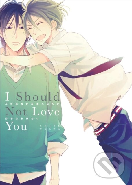 Kniha I Should Not Love You