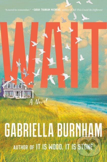 Levně Wait (A Novel) - Gabriella Burnham - kniha z kategorie Beletria