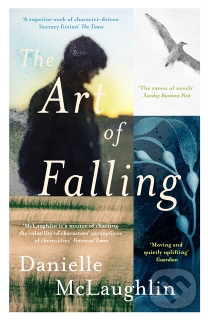 Levně The Art of Falling - Danielle Mclaughlin - kniha z kategorie Spoločenská beletria
