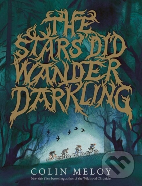 Levně The Stars Did Wander Darkling - Colin Meloy - kniha z kategorie Beletria