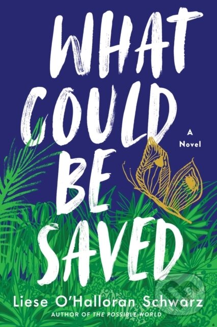 Kniha What Could Be Saved
