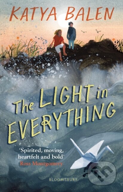 Levně The Light in Everything (Shortlisted for the Yoto Carnegie Medal 2023) - kniha z kategorie Beletria