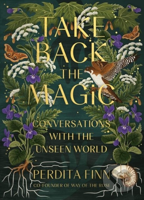 Kniha: Take Back the Magic (Perdita Finn). , 2023