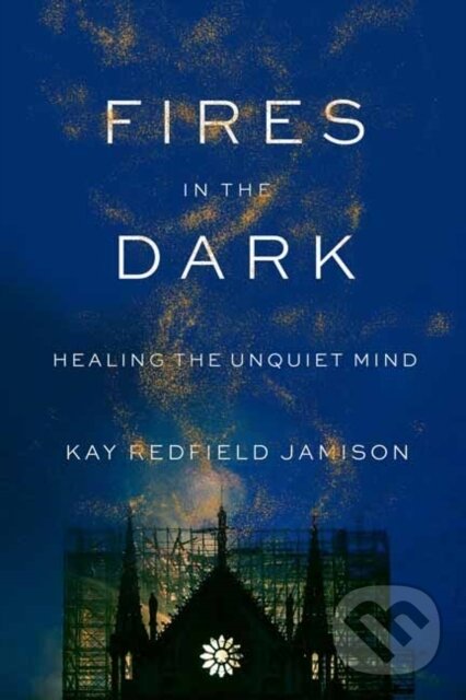 Kniha Fires in the Dark