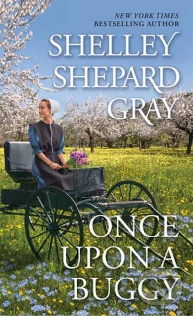 Levně Once Upon a Buggy - Shelley Shepard Gray - kniha z kategorie Beletria