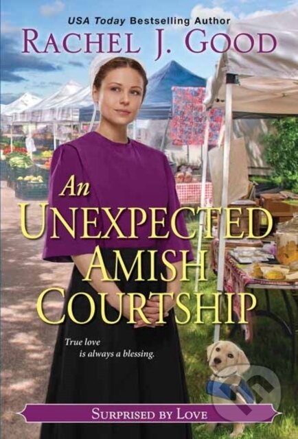 Kniha Unexpected Amish Courtship, An