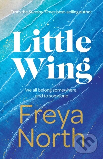 Levně Little Wing (A beautifully written, emotional and heartwarming story) - kniha z kategorie Spoločenská beletria