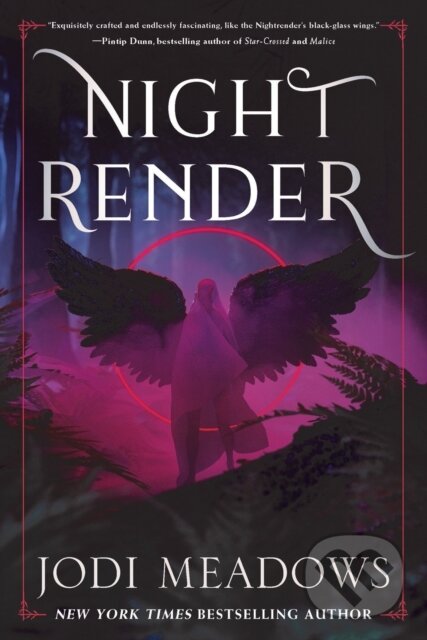 Kniha Nightrender