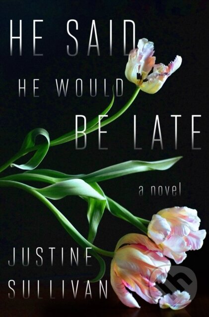 Levně He Said He Would Be Late - Justine Sullivan - kniha z kategorie Thrillery