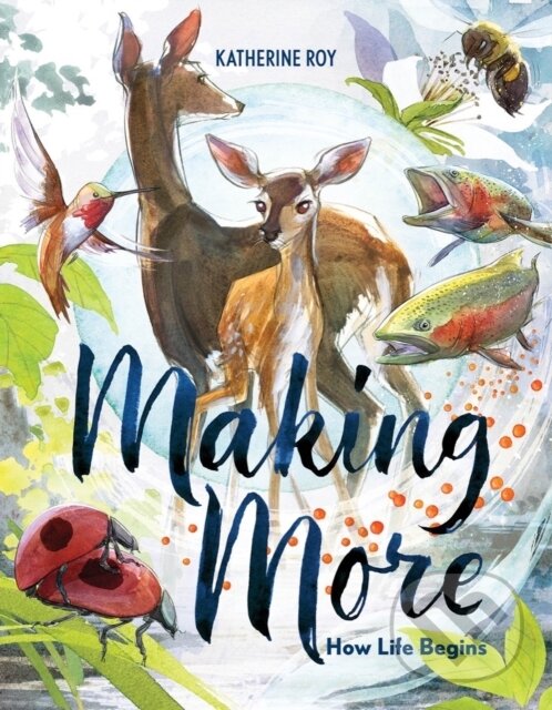 Levně Making More (How Life Begins) - Katherine Roy - kniha z kategorie Naučné knihy