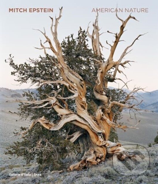 Levně Mitch Epstein (American Nature) - kniha z kategorie Fotografie