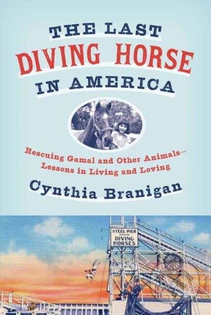 Levně The Last Diving Horse in America (Rescuing Gamal and Other Animals--Lessons in Living and Loving) - kniha z kategorie Životopisy, reportáže a…