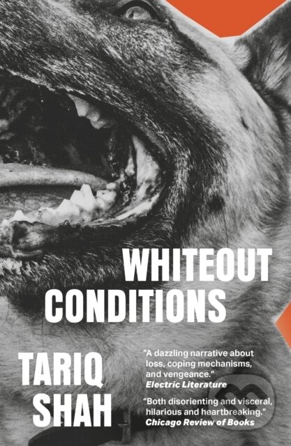 Levně Whiteout Conditions - Tariq Shah - kniha z kategorie Beletria