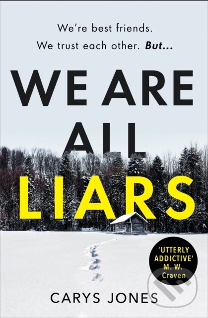 Kniha We Are All Liars