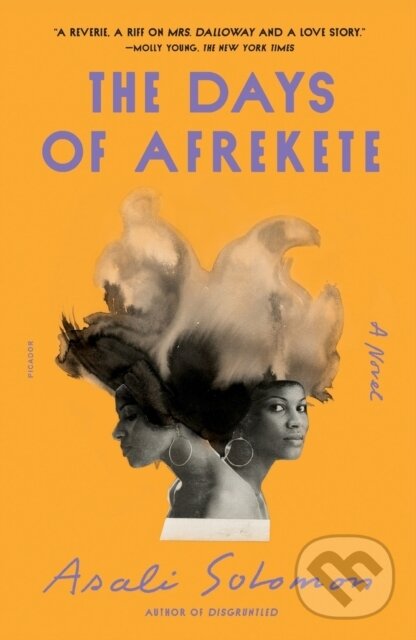 Levně The Days of Afrekete (A Novel) - Asali Solomon