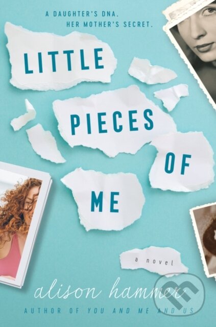 Levně Little Pieces of Me (A Novel) - Alison Hammer - kniha z kategorie Spoločenská beletria