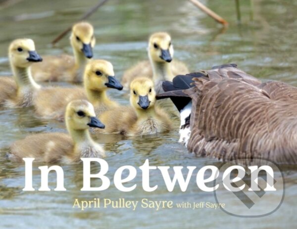 Levně In Between - April Pulley Sayre - kniha z kategorie Naučné knihy
