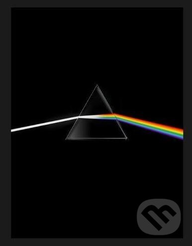 Levně Pink Floyd (Their Mortal Remains) - Victoria Broackes - kniha z kategorie Hudba