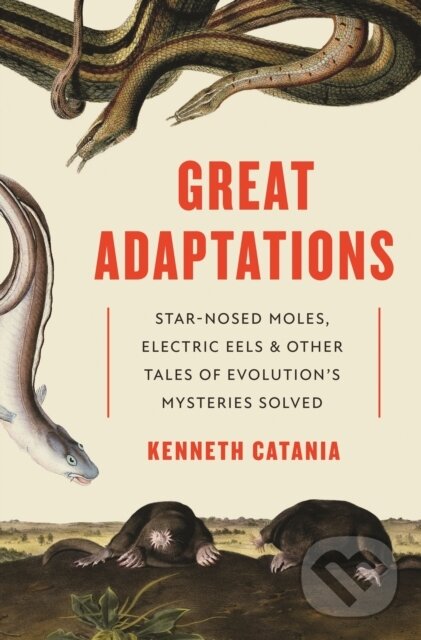 Kniha Great Adaptations