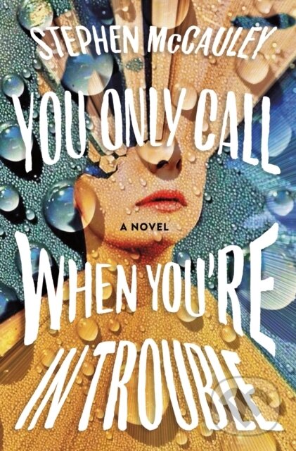 Levně You Only Call When You're in Trouble - Stephen McCauley - kniha z kategorie Beletria