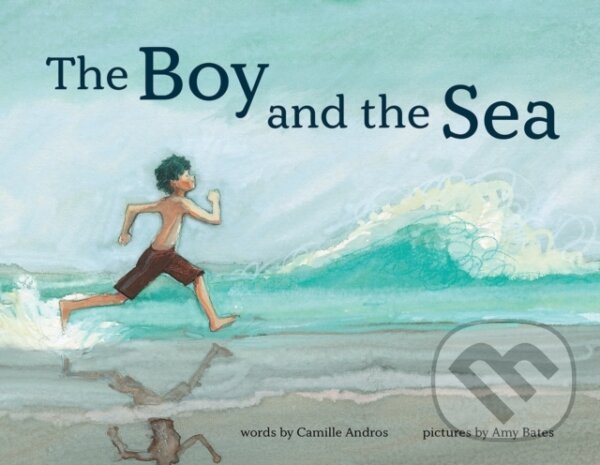 Kniha The Boy and the Sea