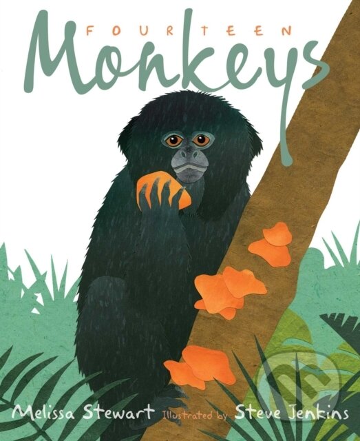 Levně Fourteen Monkeys (A Rain Forest Rhyme) - Melissa Stewart - kniha z kategorie Pre deti a mládež