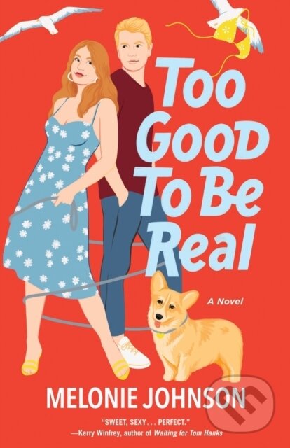 Levně Too Good to Be Real (A Novel) - Melonie Johnson