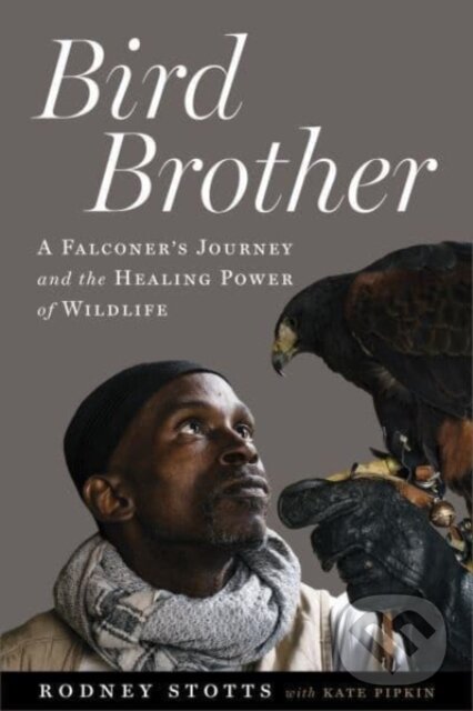 Kniha Bird Brother