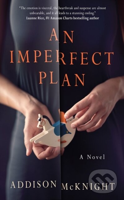 Kniha An Imperfect Plan