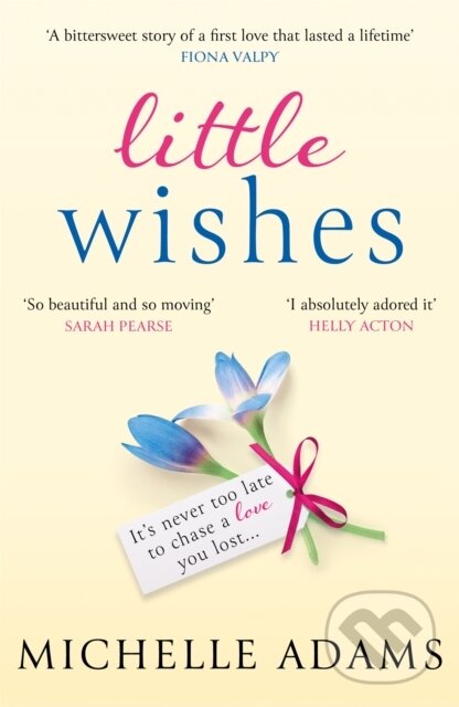 Levně Little Wishes (A sweeping timeslip love story guaranteed to make you cry!) - kniha z kategorie Beletria